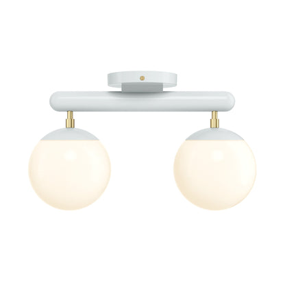 Color Icon 2 Flush Mount