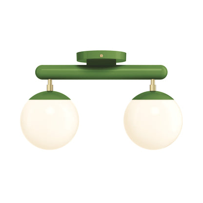 Color Icon 2 Flush Mount